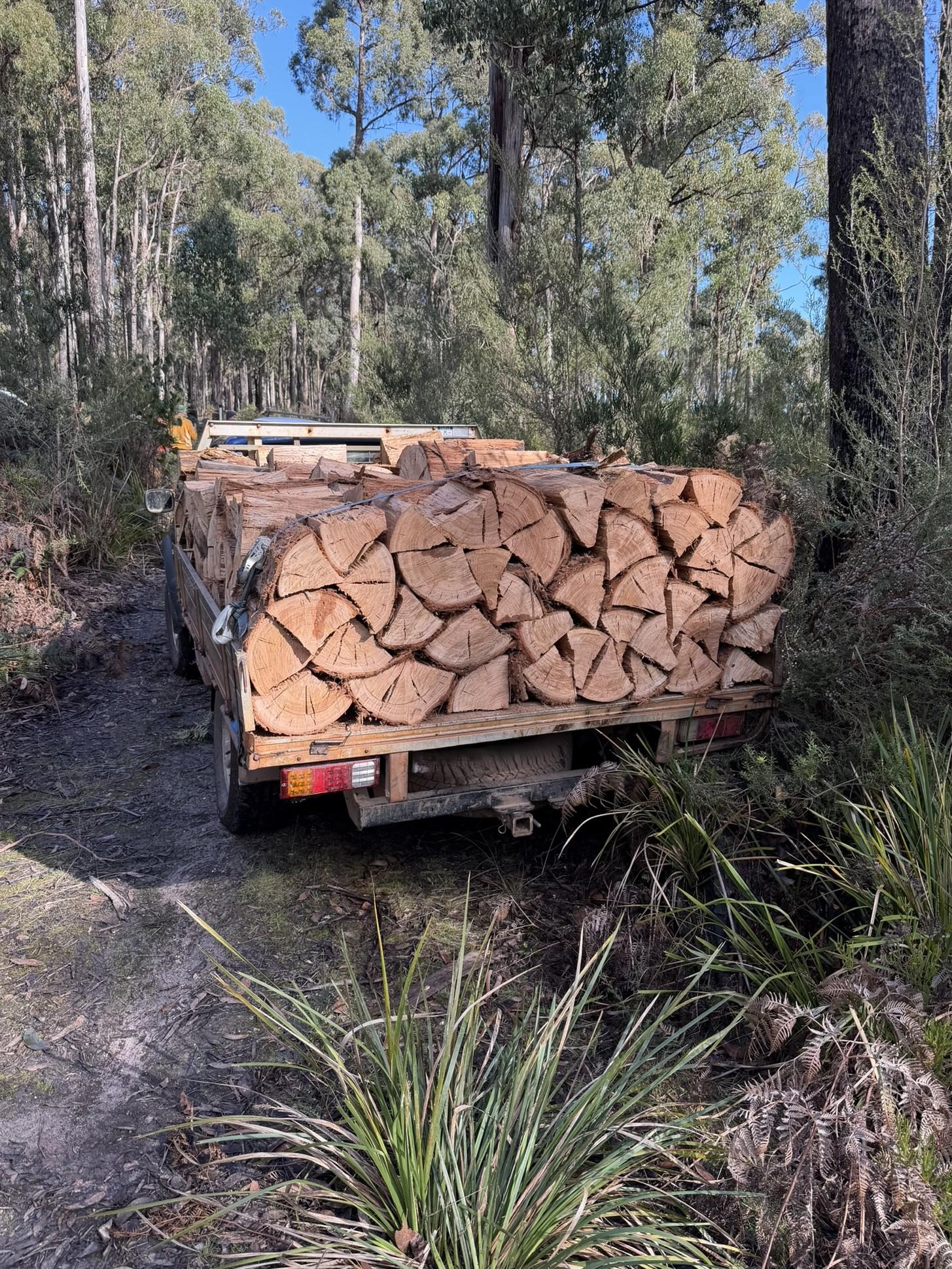 An illegal load of wood