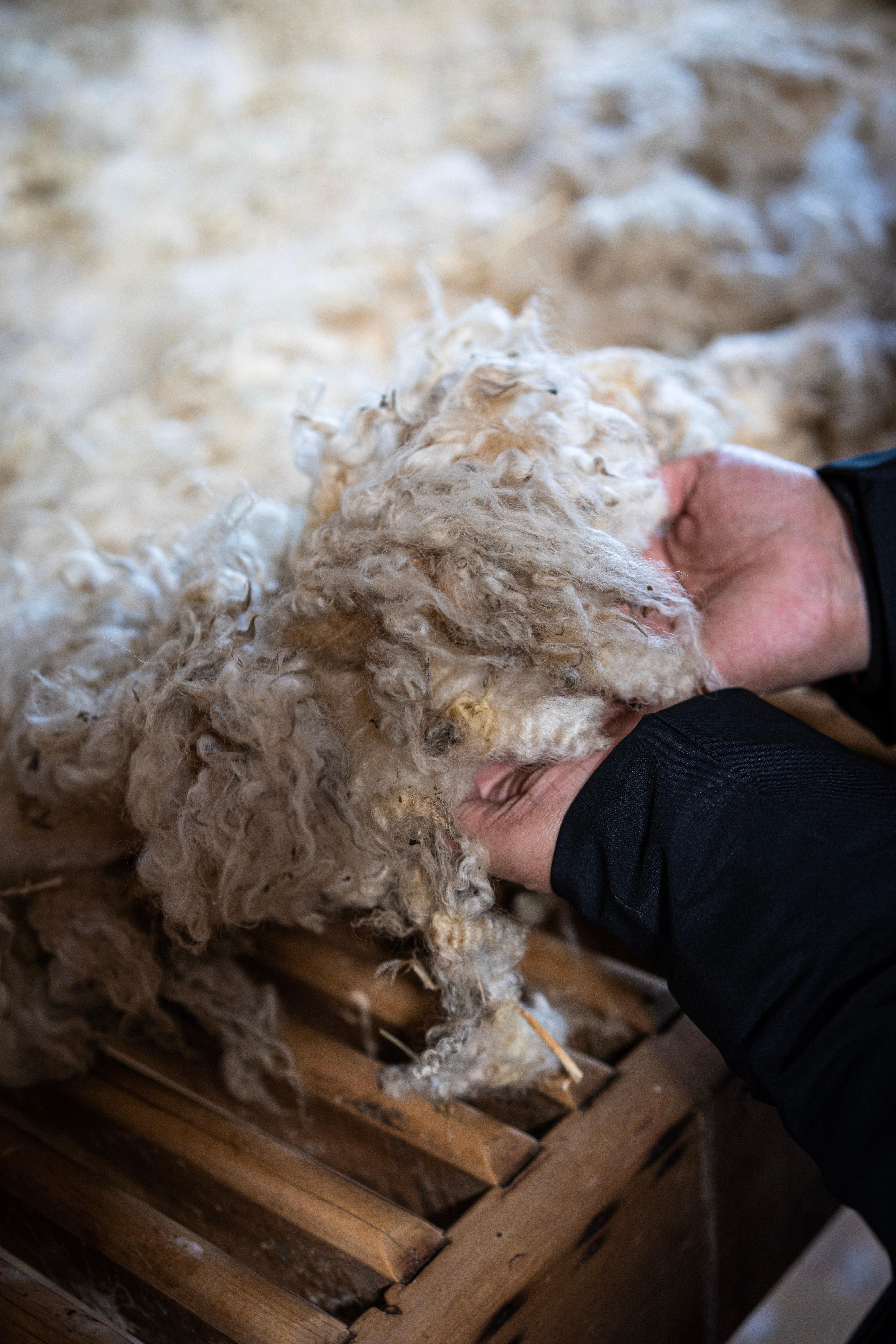Fleece