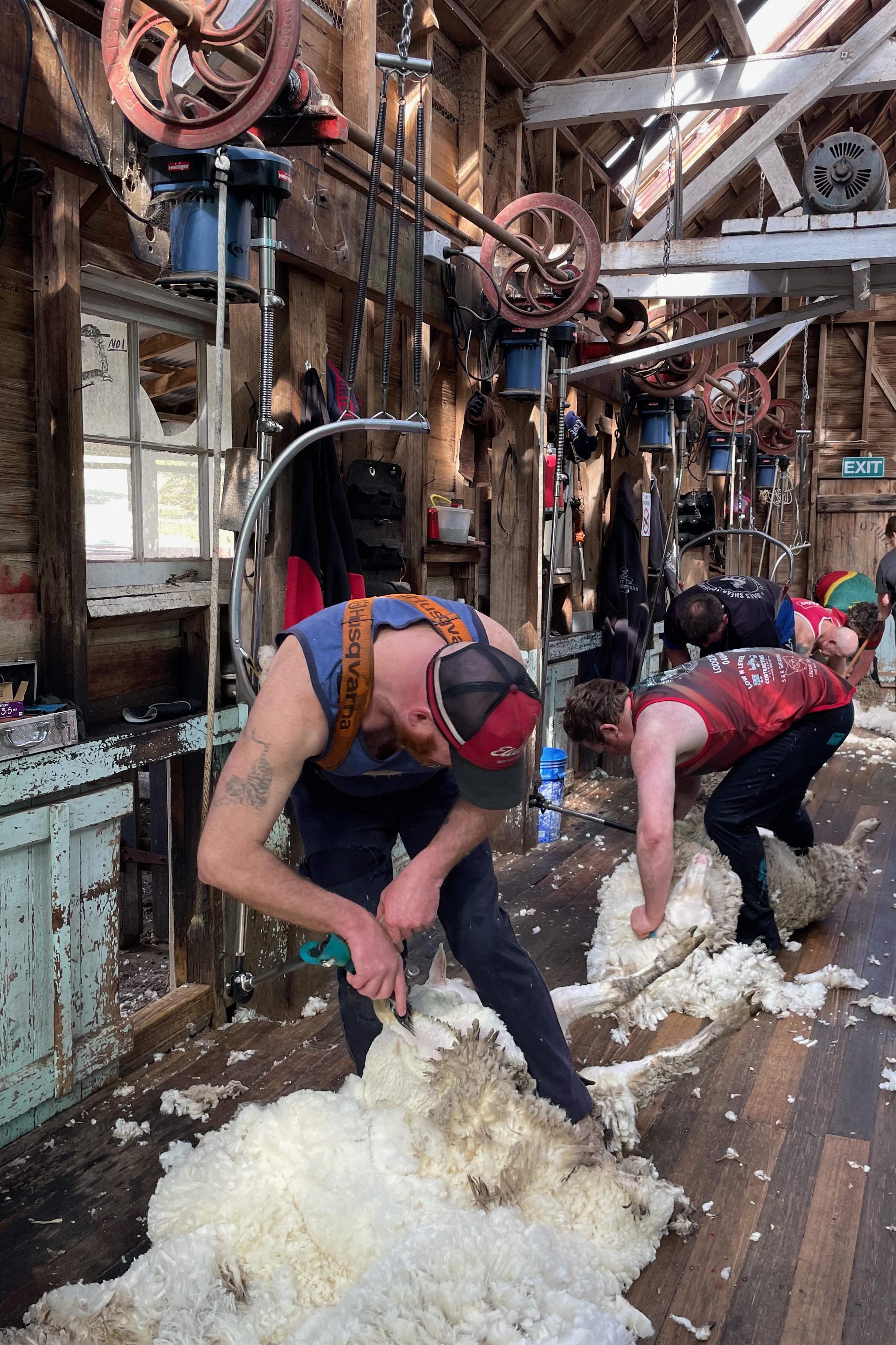 Shearing