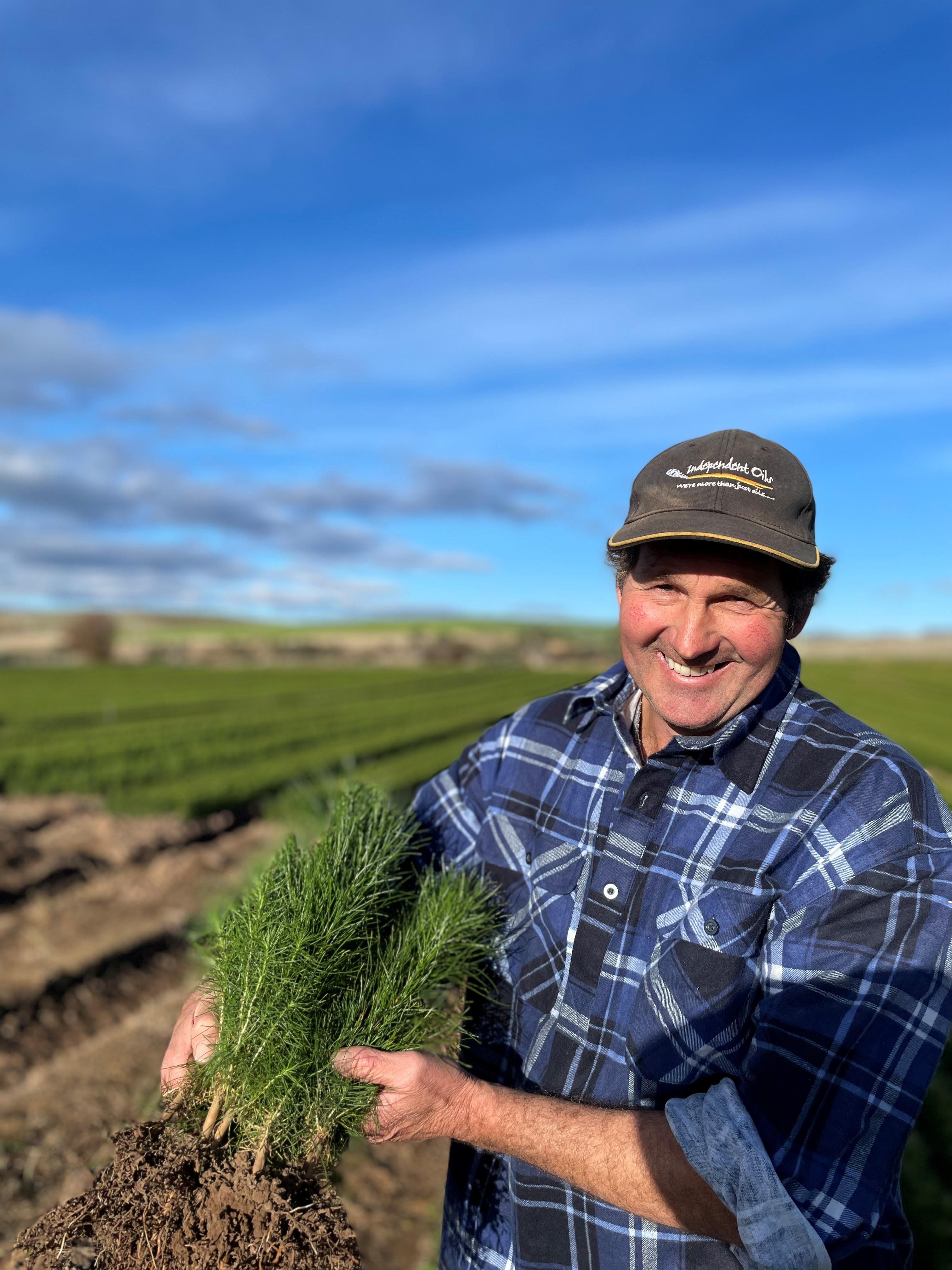 Todd Raynor with some of the pine seedlings ready for transplating