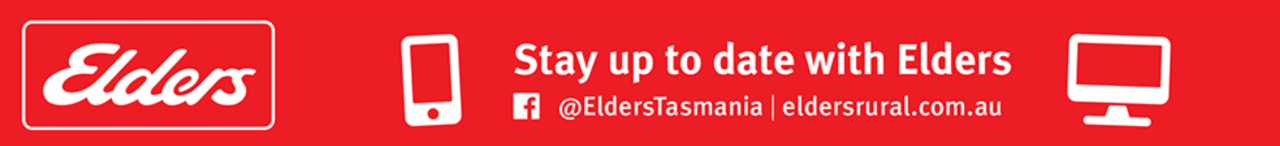 Elders