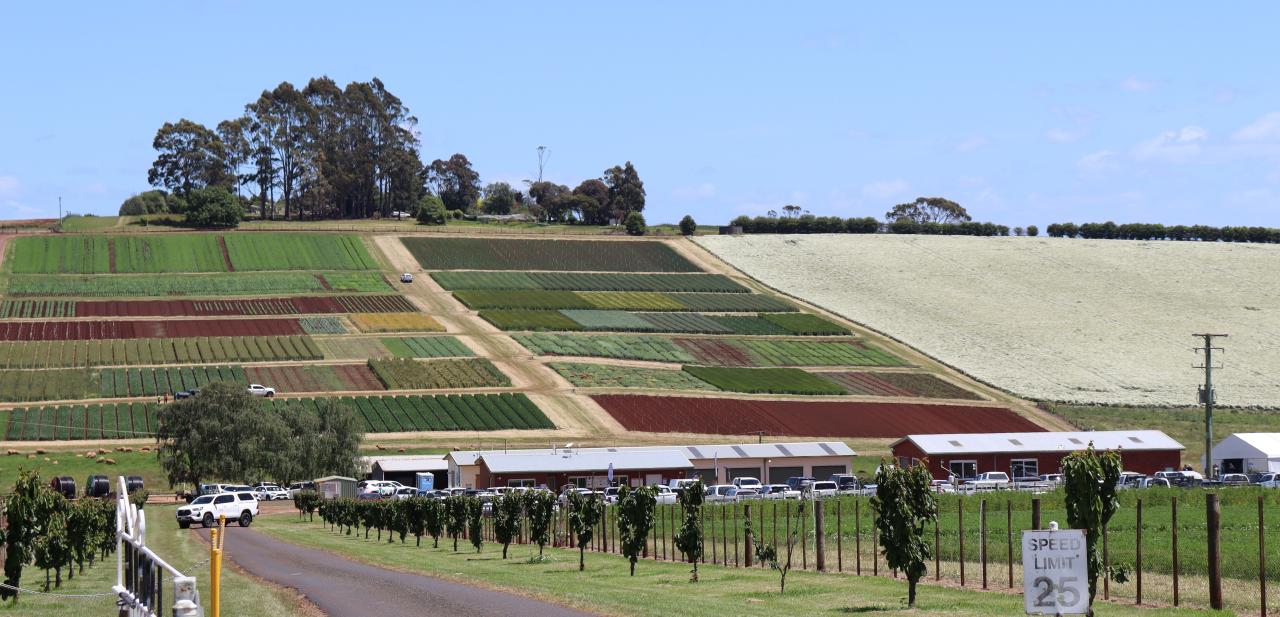 Vegetable Research Facility at Forthside