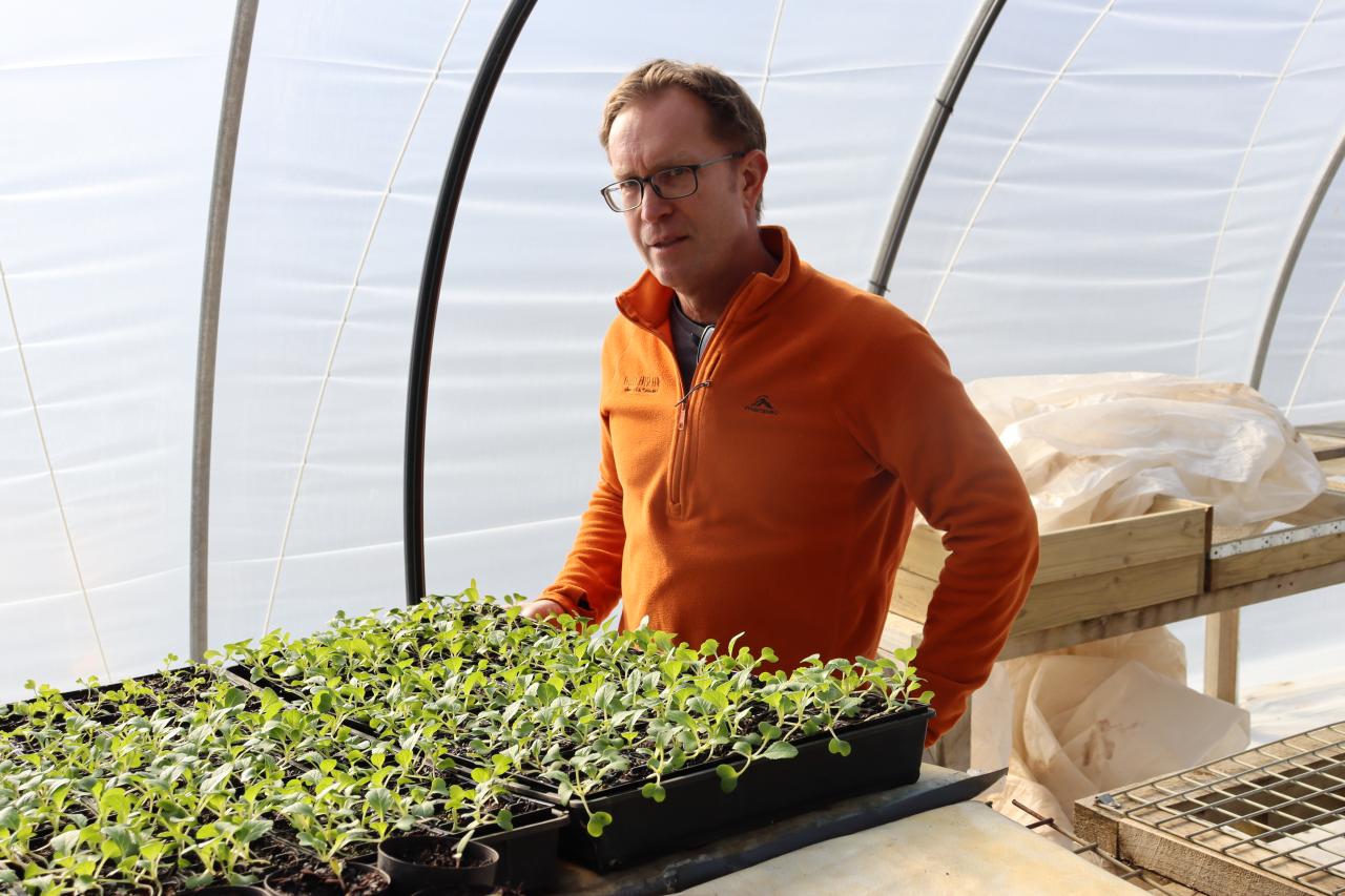 Rob Mather observing seedlings grown at Valley Fresh Farm