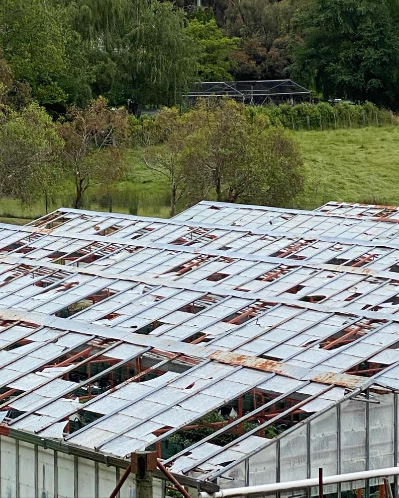 Valley Fresh's glasshouse in the aftermath of the December 2021 hailstorm