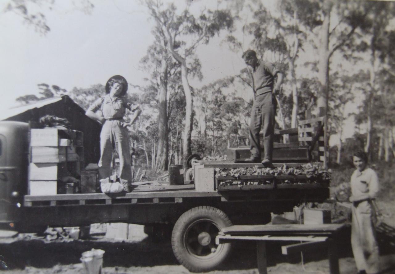 Working hard on the farm during wartime