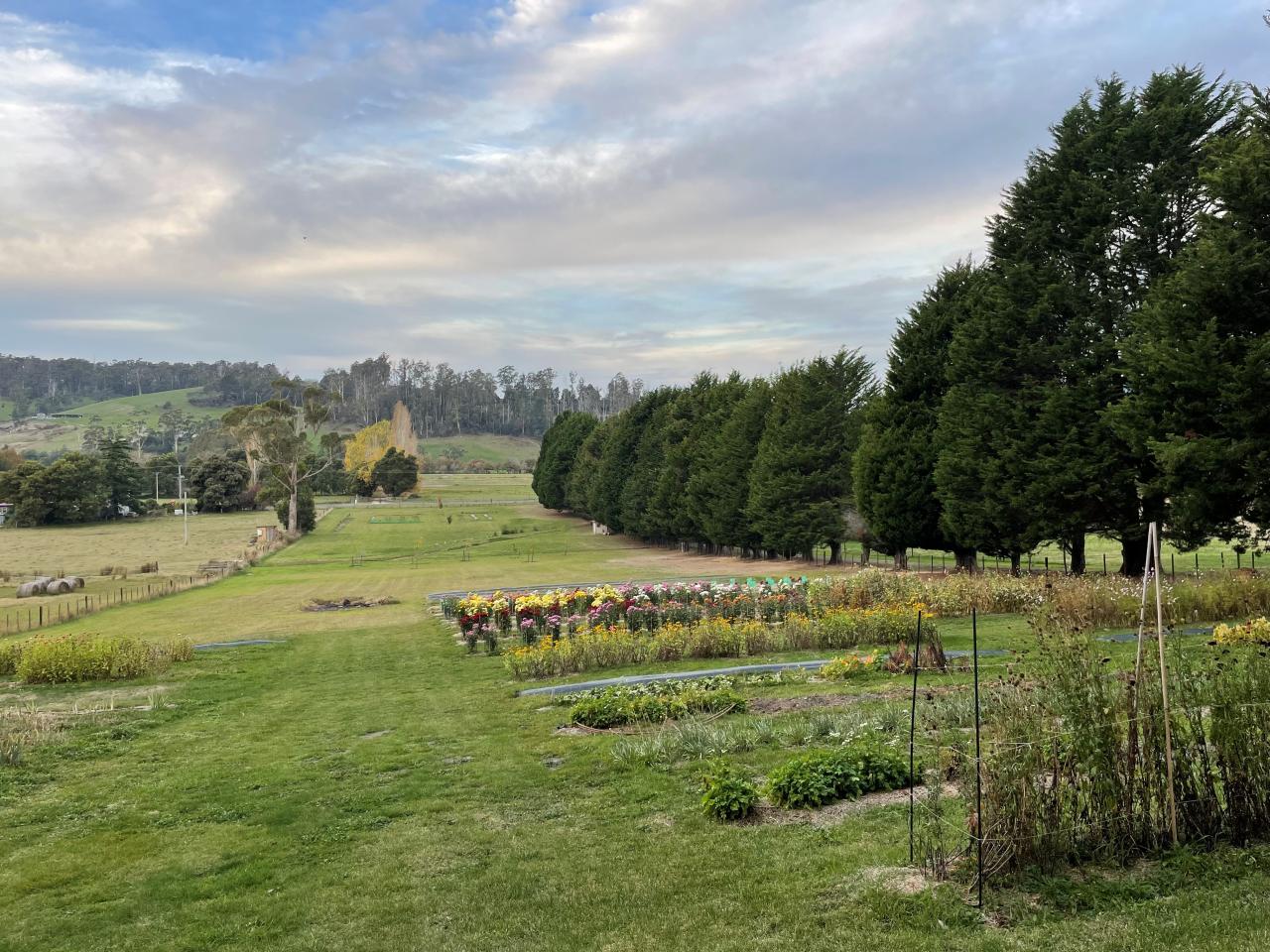 The multi-purpose plot at Karoola