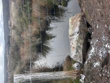 Bird poo (known as splash) is a great indication that the birds are eating fish in the area. Schools of fish will build up in this area providing food for birds important for biodiversity.