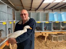 John Blizzard showing ducks at the Circular Head Show
