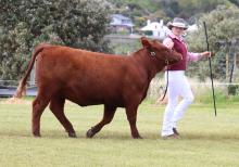 State Young Paraders Champion of Champions Ruby Rayner