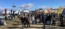 The Agfest crowd