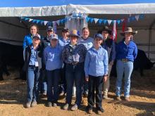 Scottsdale High School cattle handlers