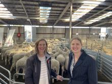 Federal MPs Rebecca White and Julie Collins