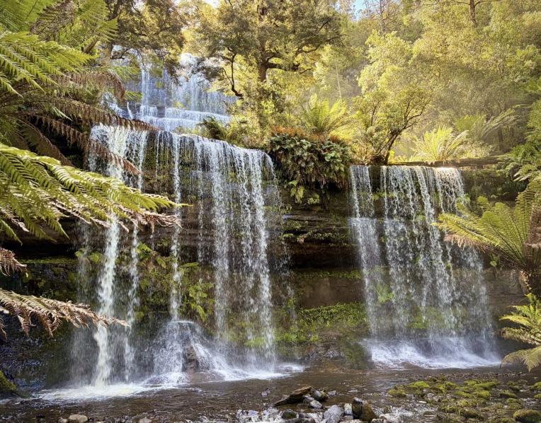 Mt Field National Park