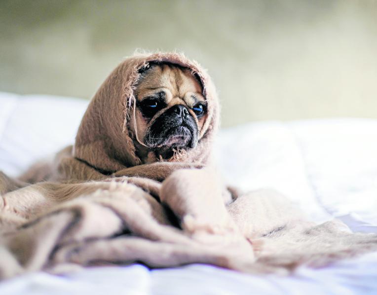 Warm and contented