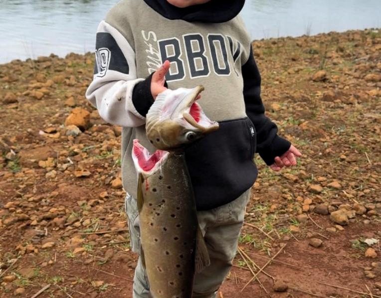 Three-and-a-half-year-old Kyat Scott, who was excited to catch this great-sized brown trout from Pet Dam recently.