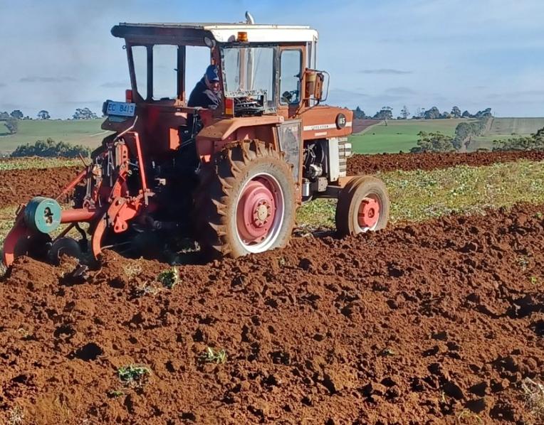 Colin Berne ploughing at last year's Championship