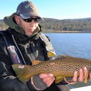 Trout season starting