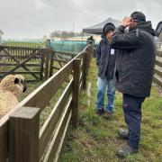 Competitor Mikayla Deegan receiving instruction from Livestock Health Module Judge, Josh Mison.