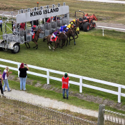 A race meet on King Island