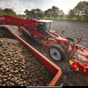 Potato harvest in the Northern Midlands
