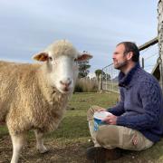 One of Gaunts Farm’s present custodians Adrian Beswick reflects on the future while feeding the sheep