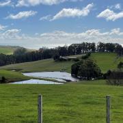 Dam levels could rise in some parts of the state if rainfall predictions come true.
