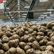 While spuds stocks in Tasmania supermarkets are good, that's not the case for the rest of Australia.