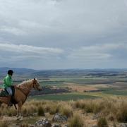 TMCA member Tracey Boon takes in the stunning view from Cressy property Billopp.