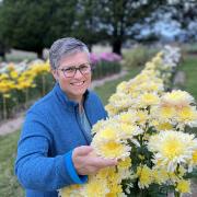 Donna Tracey with the  chrysanthemums that flourish on the  couple’s property.