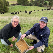 Glen Torrie Pastures Angus stud owner Perina Kentish, ,left, and Cradle Coast NRM  sustainable agriculture facilitator and dung beetle expert Tom O’Malley release 1000  Bubas Bison beetles imported from New South Wales.