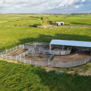 King Island property