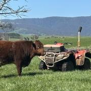 North Eastern Casey and Cedric.