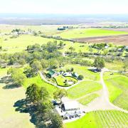 Craigie Knowe Vineyard