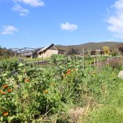 Gardners Bay Farm