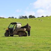 George Shea on his property in Hamilton. Photo by Bronwyn Lisson