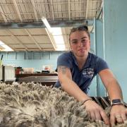 Gemma McGuinness of Colebrook is following in her sister Hayley and brother Brodie’s footsteps in the wool handling and shearing industry.