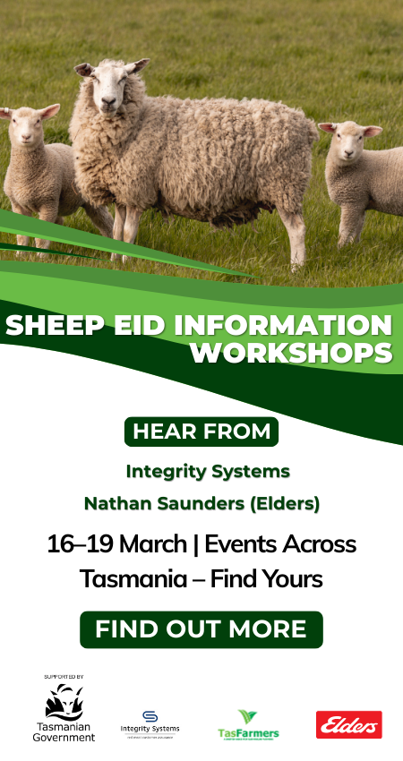Sheep eID Information Workshop