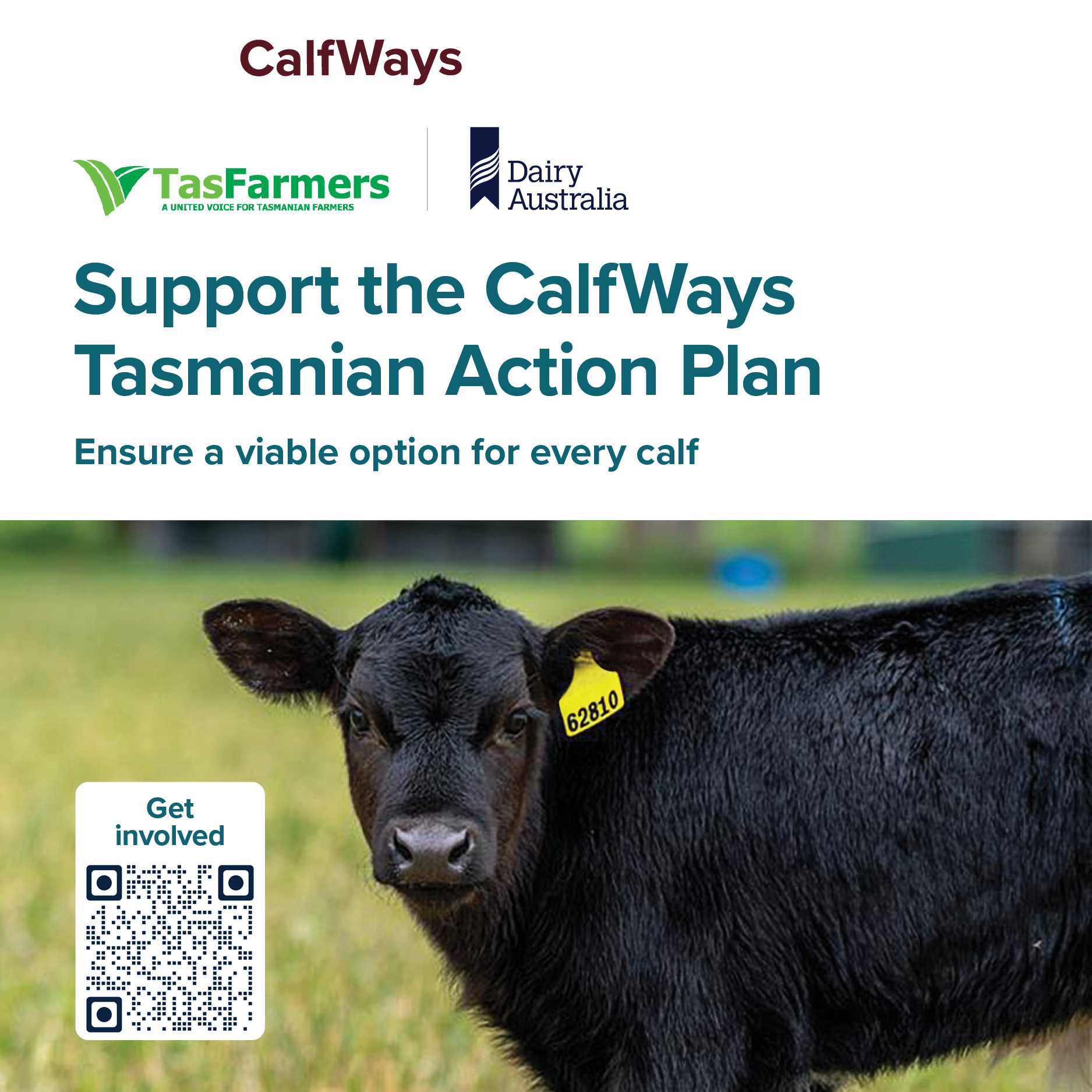 Dairy Australia CalfWays Strategy
