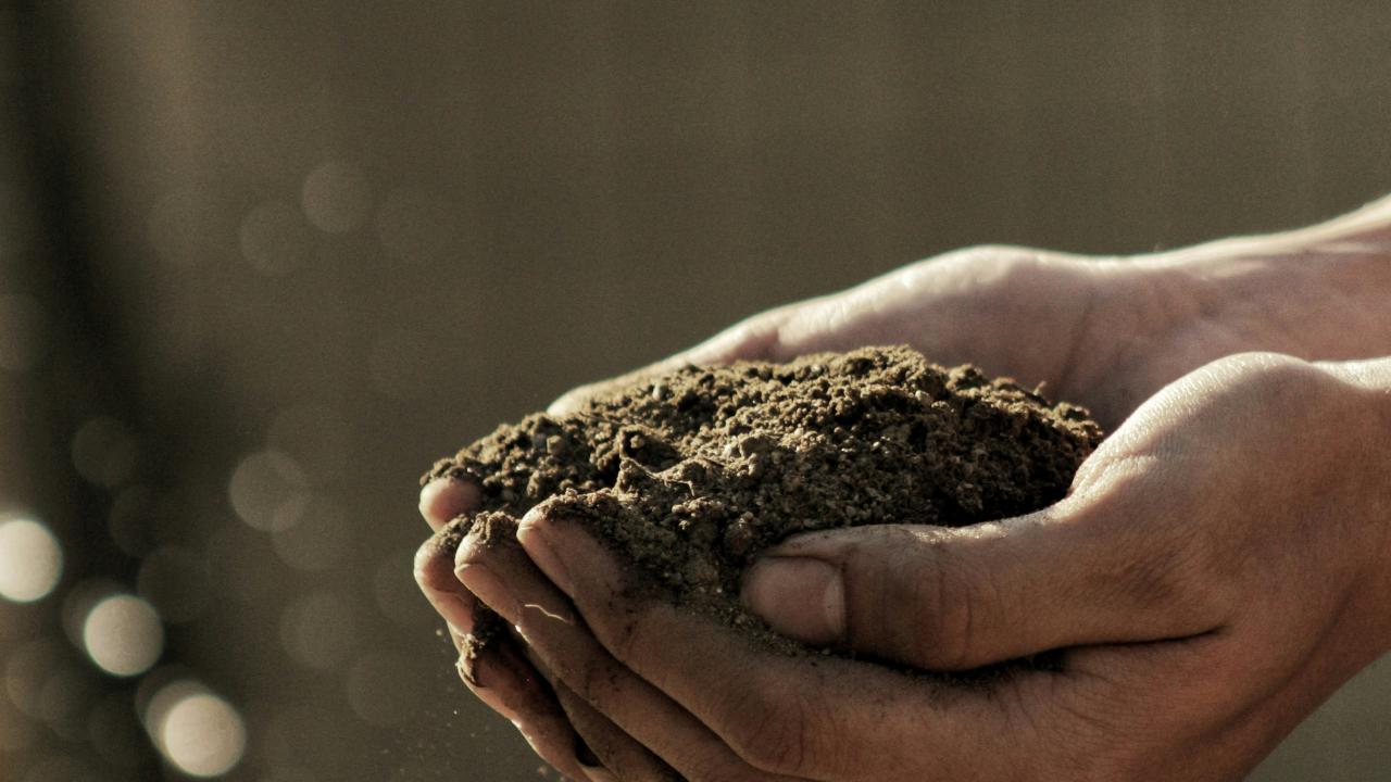 Soil Soil
