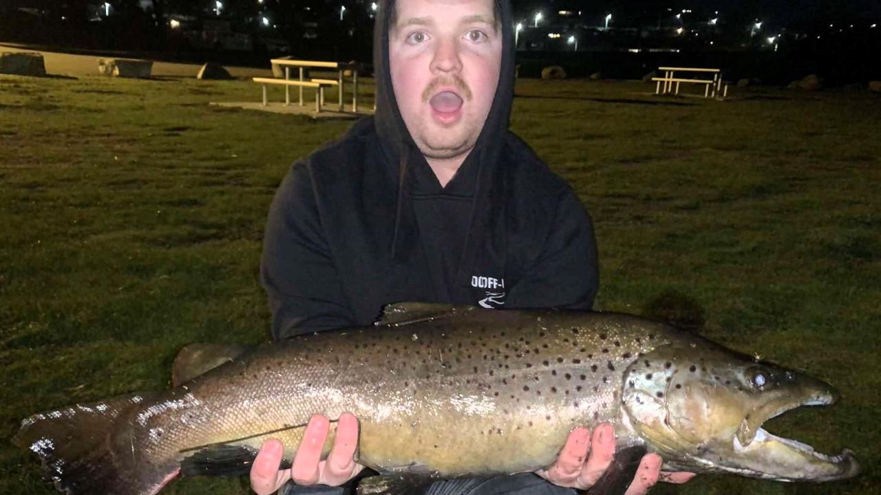Luke Cass with the big male trout he caught from the lower reaches of the Derwent River last week Luke Cass with the big male trout he caught from the lower reaches of the Derwent River last week