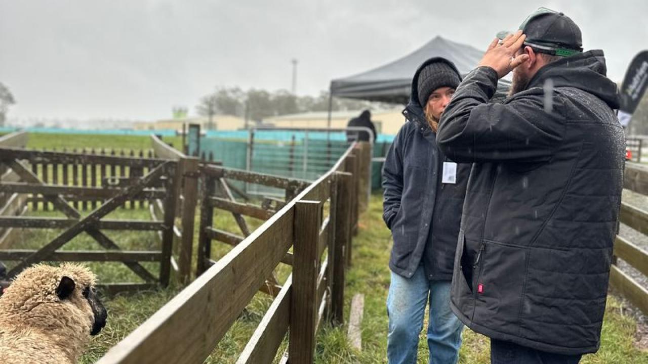 Competitor Mikayla Deegan receiving instruction from Livestock Health Module Judge, Josh Mison.