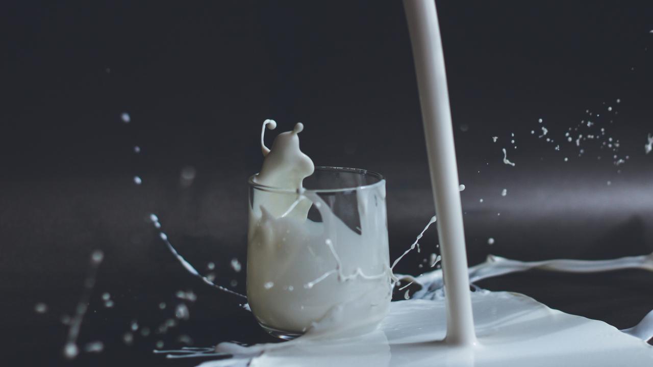 Tasmania is facing a potential milk shortage Tasmania is facing a potential milk shortage
