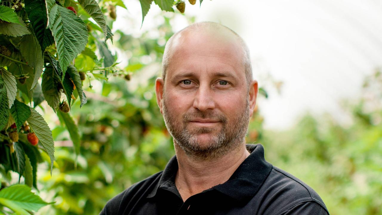 Berried in Tas Managing Director Richard Winspear Berried in Tas Managing Director Richard Winspear