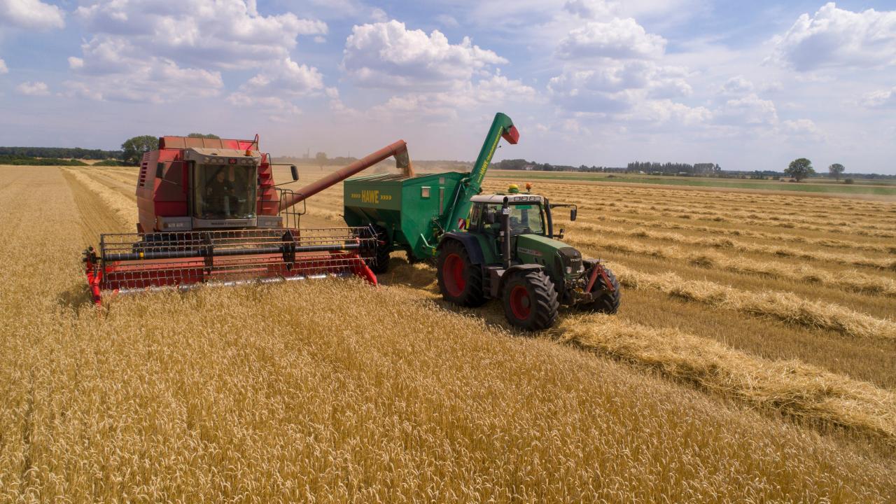 Tractor Tractor