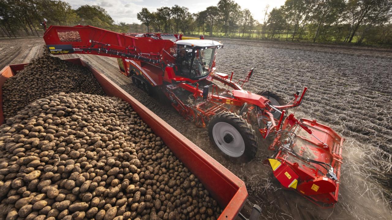 Potato harvest in the Northern Midlands