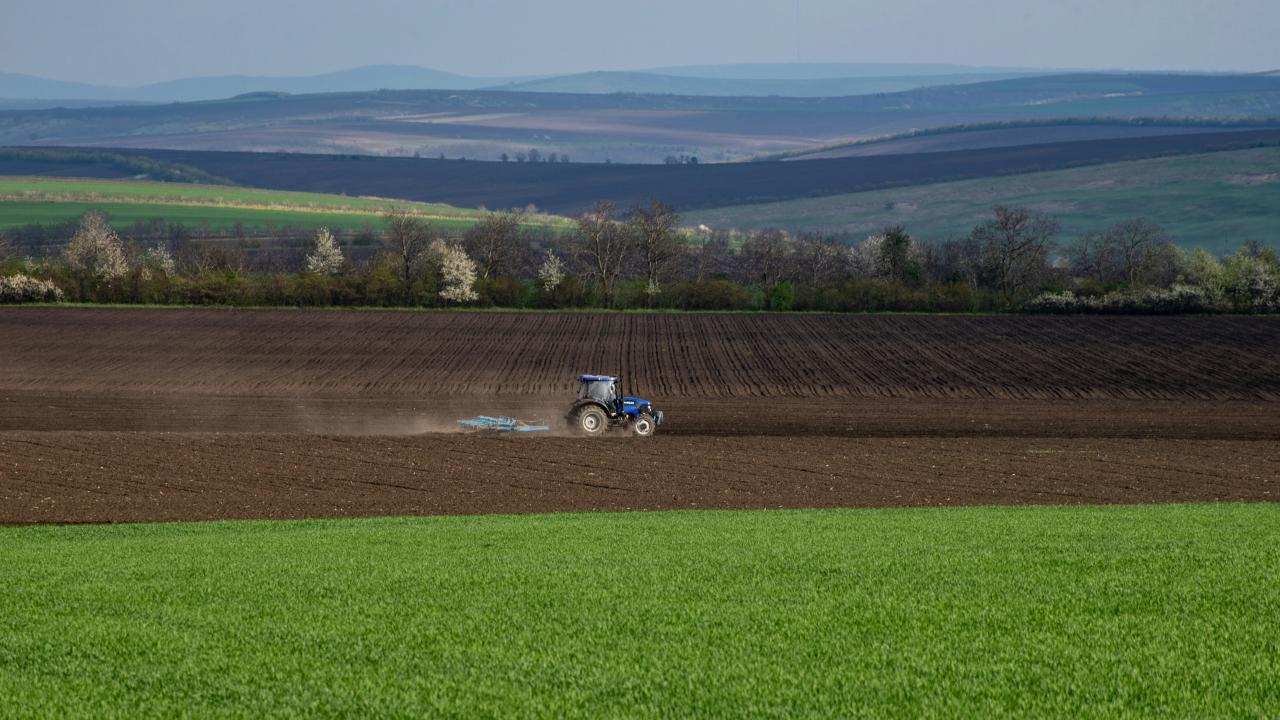 A tractor on a farm A tractor on a farm