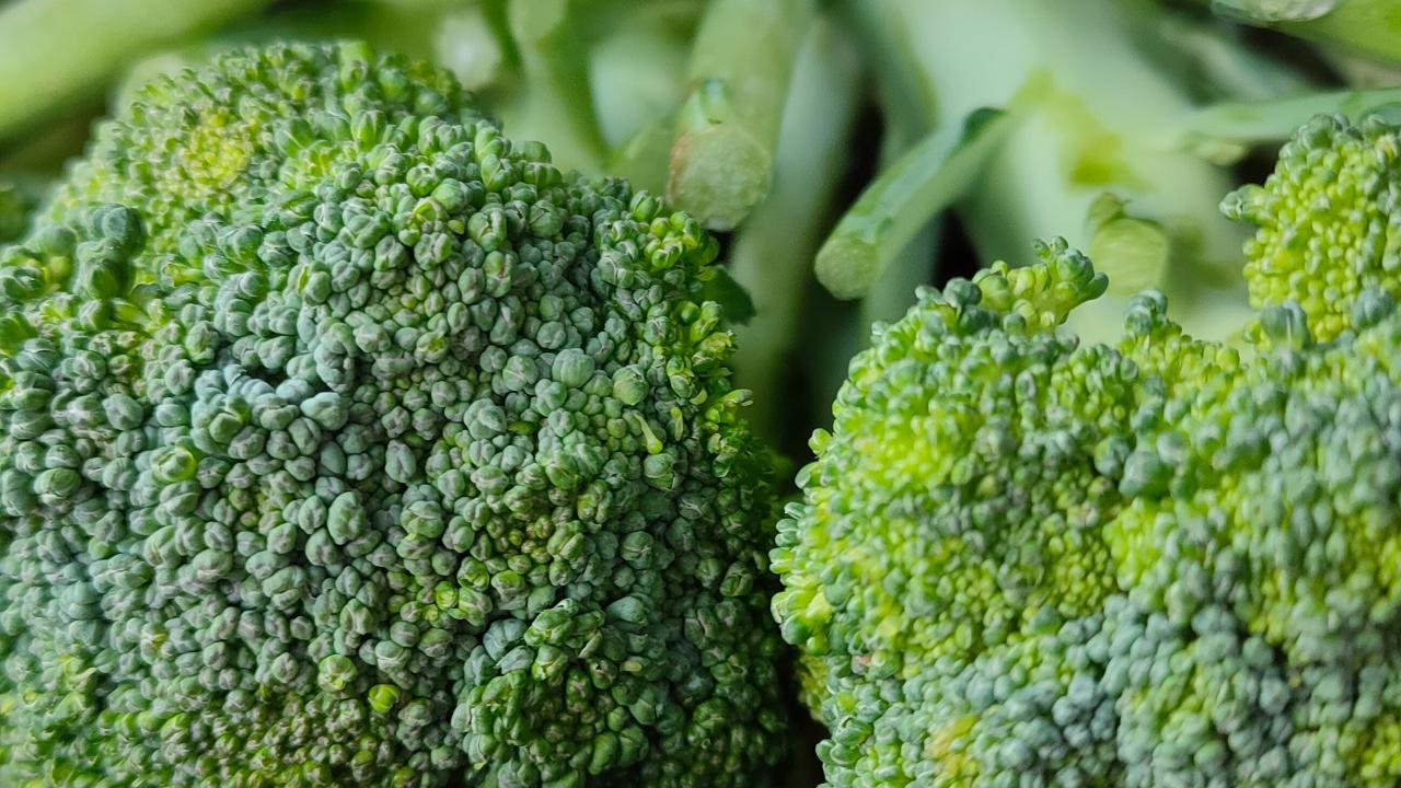 Broccoli