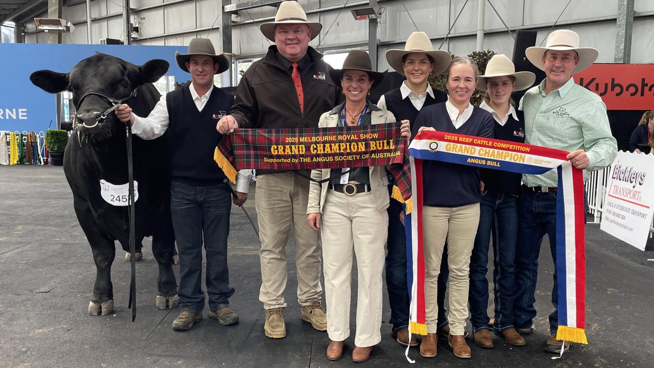 Ben Drain 'Brooklyn West' property manager. Scott Wright - CEO of ANGUS AUSTRALIA. Judge Erica Halliday Ben Nevis Angus Stud, Walcha. Georgina, Anna, Olivia and Andrew Raff. Ben Drain 'Brooklyn West' property manager. Scott Wright - CEO of ANGUS AUSTRALIA. Judge Erica Halliday Ben Nevis Angus Stud, Walcha. Georgina, Anna, Olivia and Andrew Raff.