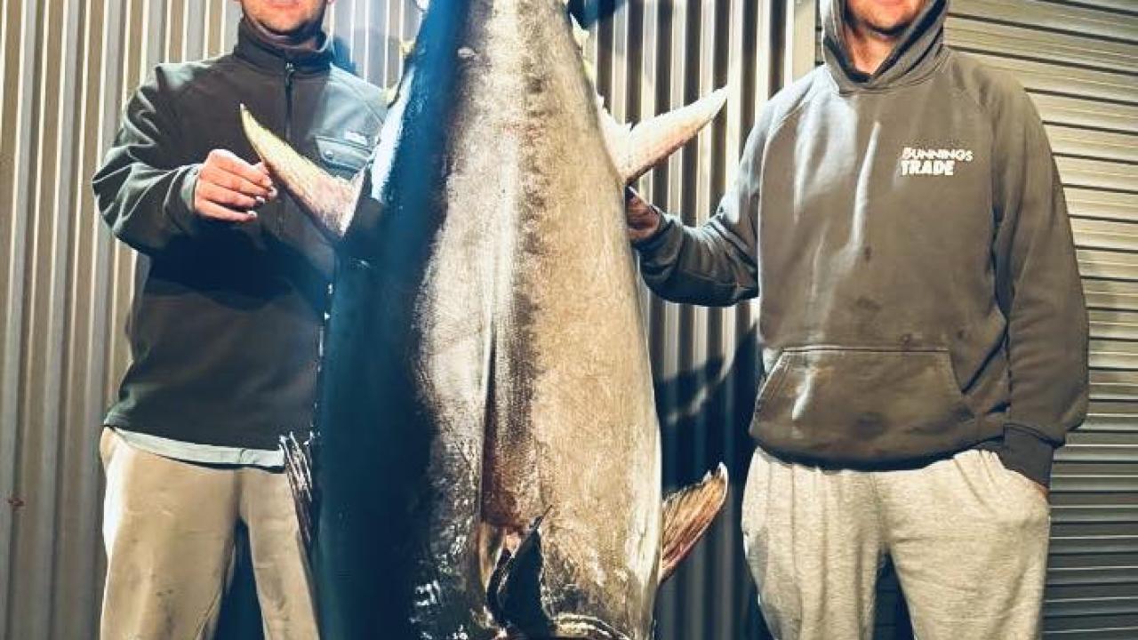 Nathan Van Der Spek with the 133.9 kg Southern Bluefin Tuna he caught off Bass Strait recently. Standing beside him is Sean Townsend Nathan Van Der Spek with the 133.9 kg Southern Bluefin Tuna he caught off Bass Strait recently. Standing beside him is Sean Townsend