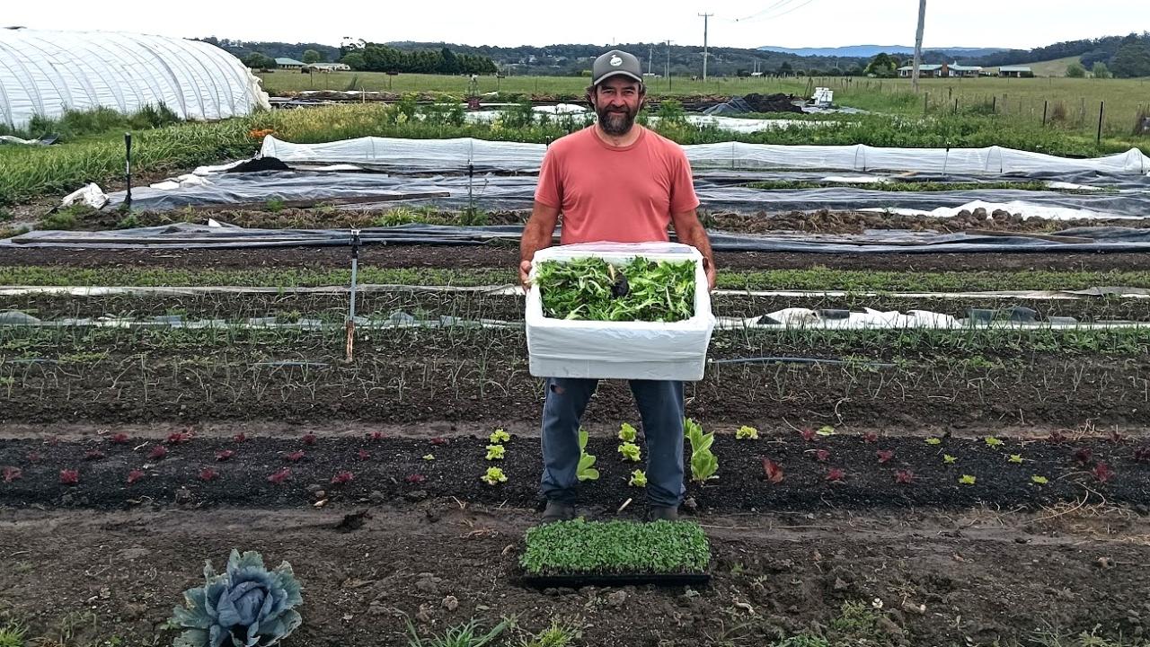 St Helens market gardener Josh Hall 